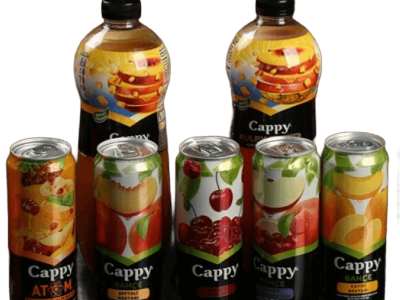 Cappy Karışık Meyve 33cl. | 50,00